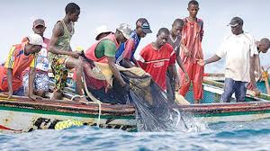Attribution de licences de pêche au Sénégal : le gouvernement prend une décision salutaire