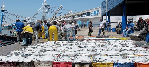 Maroc : augmentation de plus d’un tiers des débarquements de la pêche côtière et artisanale