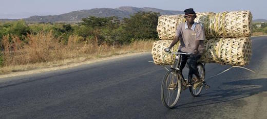 Zambie: Zambikes, des vélos en bambou pour le marché mondial
