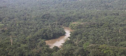 Afrique centrale: associer les communautés locales à la gestion des forêts