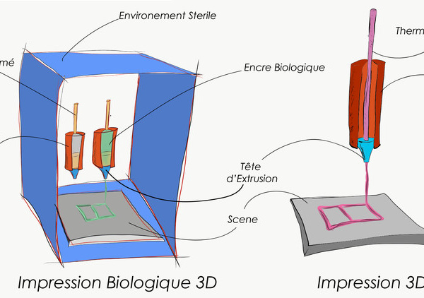 La prochaine révolution pharmaceutique pourrait sortir d'une imprimante 3D