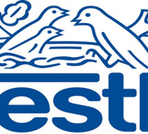 Le bénéfice de Nestlé en baisse de 3, 8 milliards d'euros