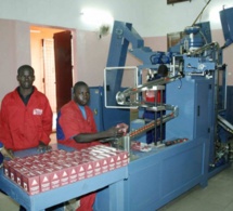 Le sous effectif des entreprises industrielles au Sénégal.