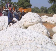 Compagnie Malienne pour le Développement des Textiles : Une arme pour lutter contre la pauvreté au Mali