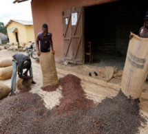 Cacao : la conjoncture met le Ghana et la Côte d'Ivoire sous pression