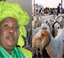 Aminata Mbengue Ndiaye : «les moutons arriveront d’ici 2 jours»