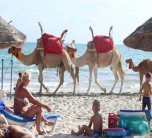 Tourisme : l'engouement estival des Algériens pour la Tunisie se confirme