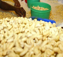 Le Bénin voudrait développer la filière de la transformation du cajou