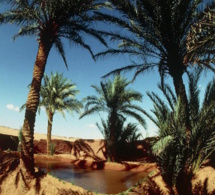 L'Algérie veut relancer le tourisme, notamment le circuit des oasis