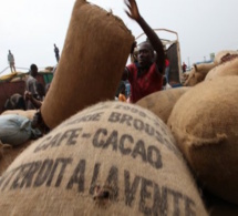 Investissement : le Ghana sollicite l'Eximbank pour soutenir sa filière cacao