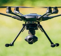 Un drone autonome pour éloigner les oiseaux des aéroports