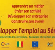 DEVELOPPER L’EMPLOI AU SENEGAL : les partenaires du programme étalent leurs résultats