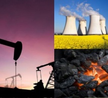 La transition énergétique examinée par secteur, régions et combustibles