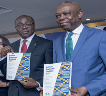 La BAD présente son Rapport Perspectives Economiques en Afrique 2019