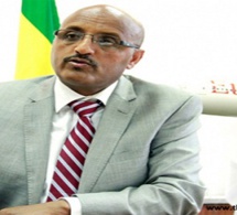 Le DG du groupe Éthiopian Airlines confirme l’absence de survivants