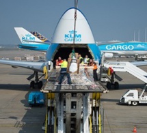 Air France KLM Cargo devient le premier groupe de compagnies aériennes à adopter Dg AutoCheck