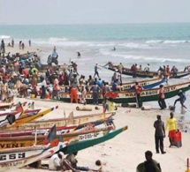 Accroissement trimestriel des débarquements de la pêche sénégalaise, selon la Dpee