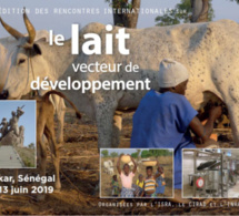 3ième édition du symposium sur le «lait, vecteur de développement», à Dakar