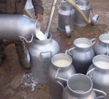 Une foire des innovations autour des solutions pour améliorer la collecte du lait