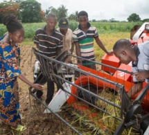 De nouvelles politiques et de nouveaux investissements s'imposent d'urgence pour soutenir les jeunes ruraux dans les pays les plus pauvres, selon un nouveau rapport de l'ONU