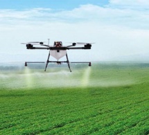 Tunisie : la Banque africaine de développement achève le projet pilote d’utilisation des drones dans le secteur agricole.