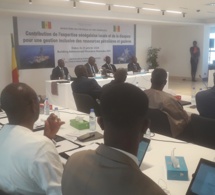 Gestion inclusive des ressources pétrolières et gazières : retour au rythme de l’expertise sénégalaise de la diaspora