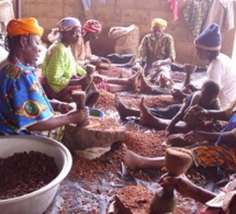 Burkina : la filière du karité majoritairement féminine réalise plus de 60 millions de dollars d’exportations