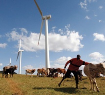 Frédéric Baralon : «inscrire les énergies renouvelables dans une stratégie de flexibilité en fera le moteur économique de l’Afrique»