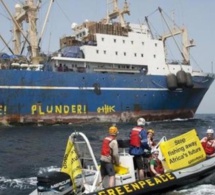 Pillage des océans d'Afrique de l'Ouest : encore et toujours les multinationales de la pêche avec la complicité des gouvernements