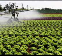 Egypte : promouvoir le passage des agriculteurs au système d’irrigation solaire