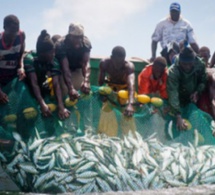 Pêche au Sénégal : appel à une gestion transparente des ressources halieutiques