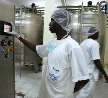 Sénégal : AgriFI investit 600 000 euros dans la laiterie du berger