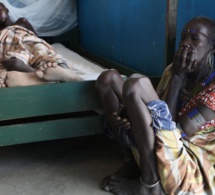 Lutte contre les maladies tropicales négligées : faible score pour les pays les plus riches d'Afrique subsaharienne