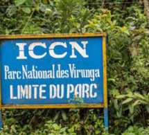 La société civile congolaise demande l’arrêt des explorations pétrolières dans les Virunga et Salonga.
