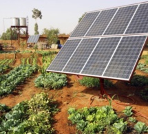 Mise en œuvre du Plan Sénégal émergent: des performances notées dans l’énergie et l’agriculture