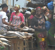 Emploi en Côte d’Ivoire : il est presque entièrement informel