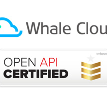 Whale Cloud devient la première entreprise au monde à obtenir le badge platine du TM Forum en matière de conformité des API ouvertes