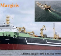 Greenpeace condamne le pillage massif des stocks de poissons mauritaniens essentiels à la sécurité alimentaire