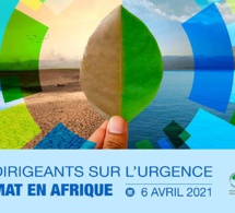 Dialogue virtuel de haut niveau sur l’urgence du covid-19 et du climat en Afrique.