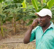 Avis: l'agriculture africaine est prête pour une révolution numérique