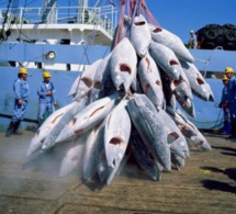 Affaires maritimes et pêche : l’union européenne évalue les accords de partenariat dans le domaine de la pêche durable