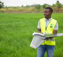 Les agriculteurs ghanéens ne voient pas tous les fruits d'une révolution verte