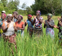 Bénin: la production vivrière en bonne voie