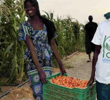 Sénégal: les effets du projet d’appui à la sécurité alimentaire sur les populations des régions de Louga, Matam et Kaffrine