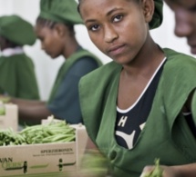 les femmes peuvent-elles bénéficier des emplois verts ?: réponse courte et conditionnelle de l'onu femme et de la banque africaine de développement