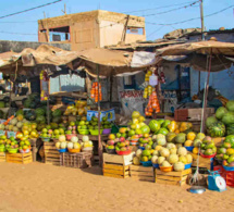 sénégal : une agriculture transformée et plus performante avec le soutien de la banque africaine de développement