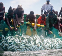 Ifesinachi Okafor-Yarwood: "les accords de pêche favorisent l'union européenne et ne font pas assez pour protéger les intérêts africains"