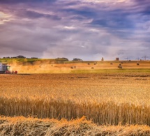 un plan d’un milliard de dollars pour sevrer l’Afrique du blé russe