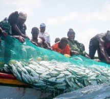 conseil présidentiel sur la pêche : greenpeace afrique rappelle au chef de l'état sénégalais, macky sall, sa promesse de 2021