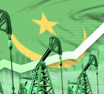 la mauritanie va devenir une nouvelle plaque tournante mondiale du gaz alors que l'expansion du marché s'intensifie
